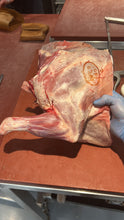 Load image into Gallery viewer, Romney Lamb Box