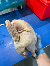 Load image into Gallery viewer, 170 Day Whole Naked Neck Chicken - Hen
