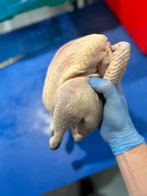 Load image into Gallery viewer, 170 Day Whole Naked Neck Chicken - Hen