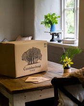 Load image into Gallery viewer, Romney Lamb Box