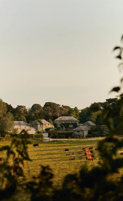 House and Garden: Behind the scenes at Coombeshead