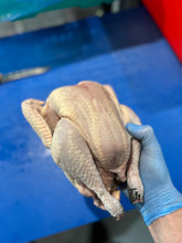 Load image into Gallery viewer, 170 Day Whole Naked Neck Chicken - Hen
