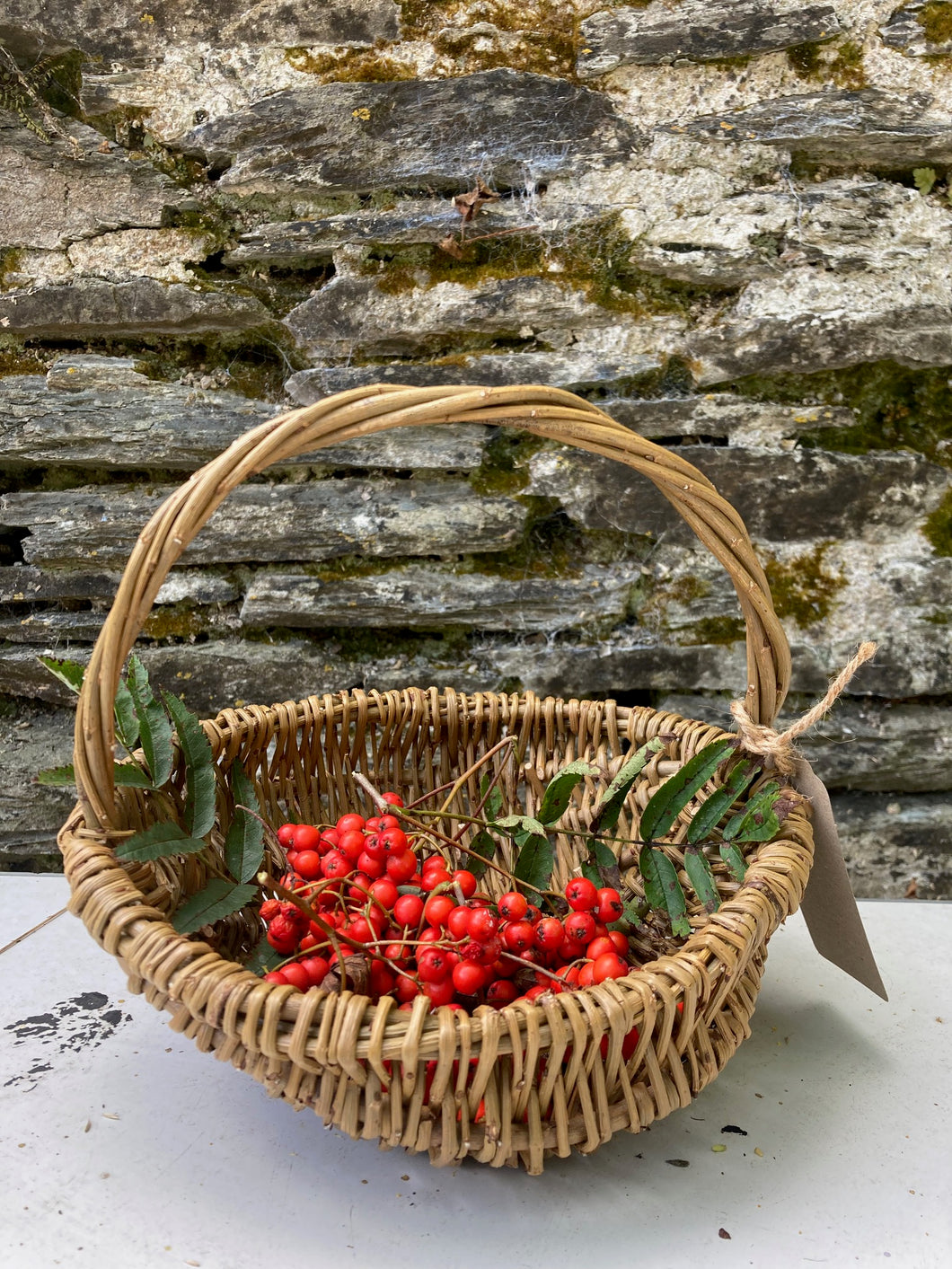 Thursday December 12 - Willow Weaving: Foraging Basket 10 - 4pm