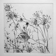 May 2nd - Etching Prints - Wildflower Meadows