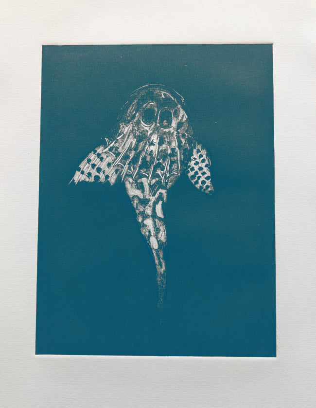 June 5th - Ocean Monoprints