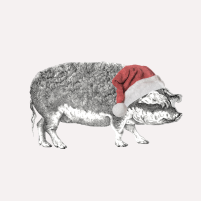 Coombeshead Festive Market Ticket